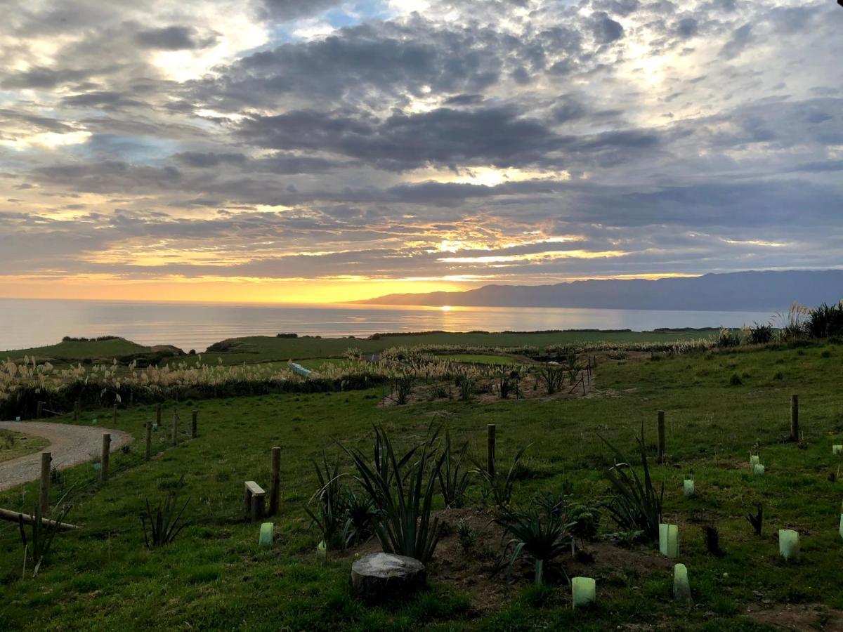 Toitoi Papatotara Bnb Kültér fotó